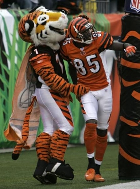 bengals 2009