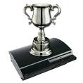 Platinum Trophy Case