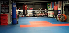 MMA Training