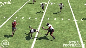 Ncaa football 12