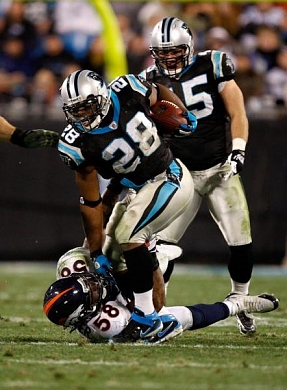 Carolina Panthers