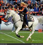 denver broncos horse mascot...