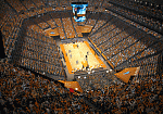 tennessee arena