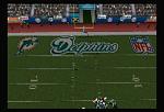 Dolphins Endzone Photo (NFL...