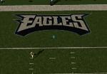 Eagles EndZone