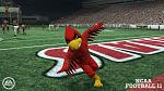 There goes the Cardinal Bird!