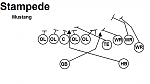 Stampede  Mustang- A QB...