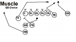 Muscle  QB Choice- A pass...