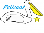 Pelicans 2