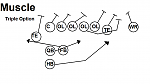 Muscle  Triple Option- A...