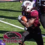 SIU Logo & Helmet