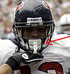 arian foster