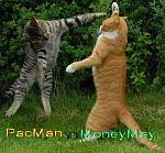 PacMan vs MoneyMay