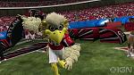 Mascot for the falcons