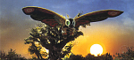 This is Mothra from the...