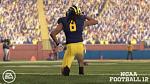 Michigan Hype