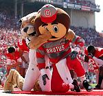 brutus buckeye attack