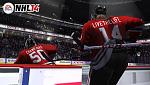 NHL 14 live the life...