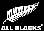 360px All Blacks logo.svg