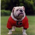 UGA