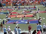 Pro Bowl 2009 Giants Flag