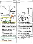 RB Route Tree highlights