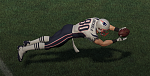 Danny Amendola