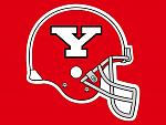 Youngstown State Penguins