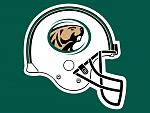 Bemidji State Beavers