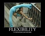 Flexibility