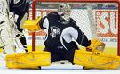 Marc-Andre Fleury (Pittsburg...