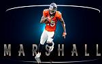 BroncosBrandonMarshall 1