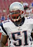 jerod mayo