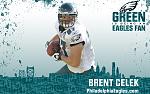 Celek 1280X800