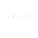 Texas State Fightin'...