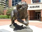 Auburn Tigers